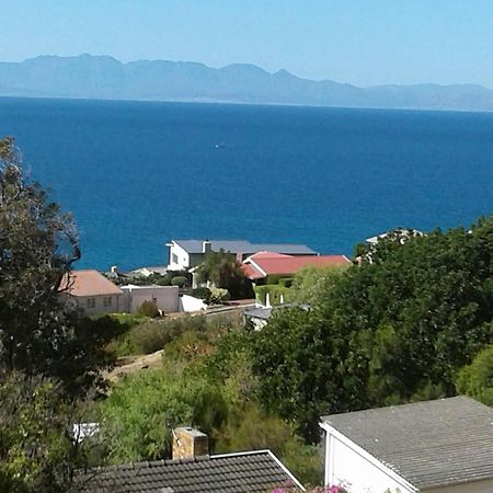 Froggy Bay Is The Best All The Way! Simonʼs Town Zewnętrze zdjęcie