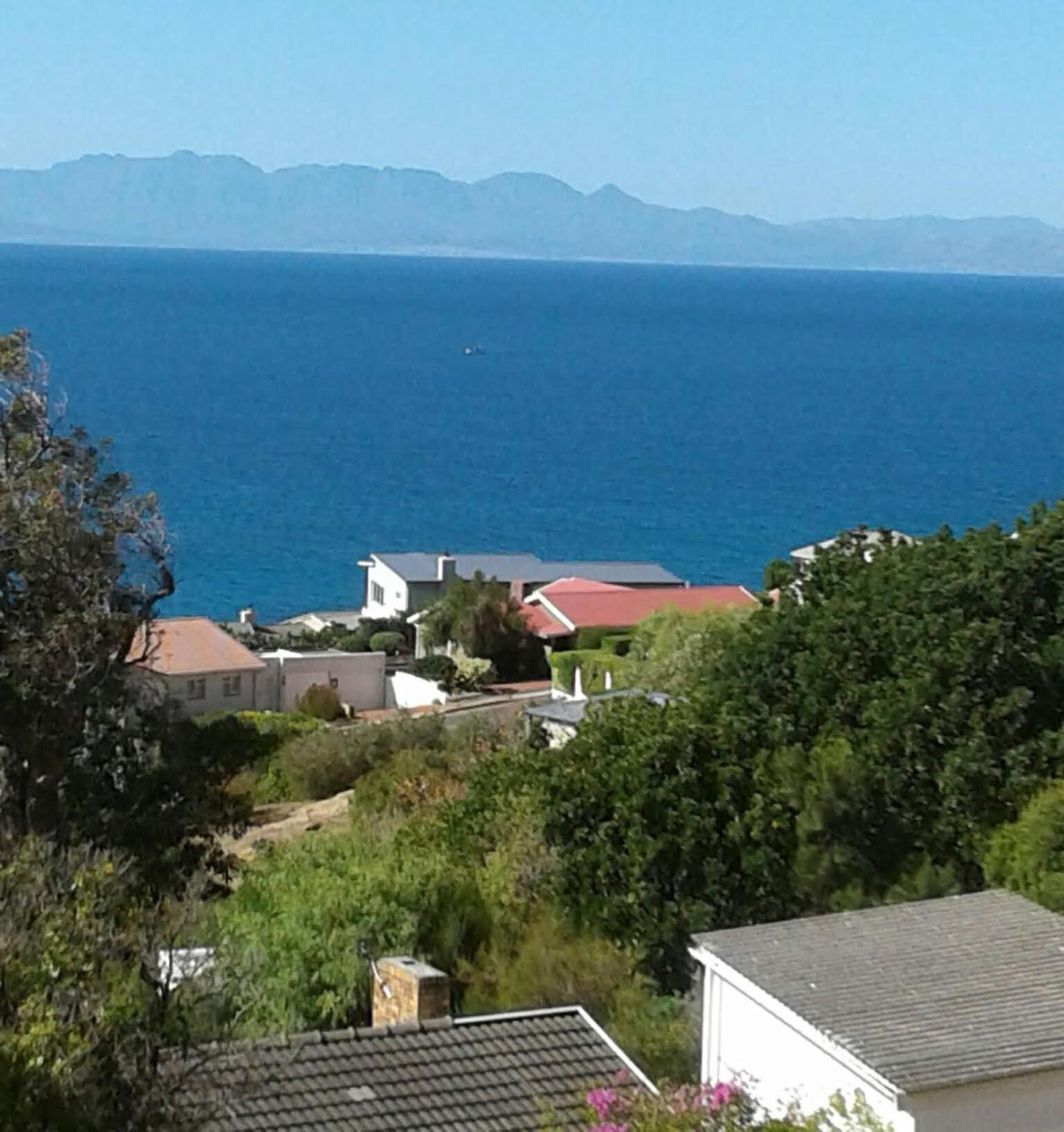 Froggy Bay Is The Best All The Way! Simonʼs Town Zewnętrze zdjęcie